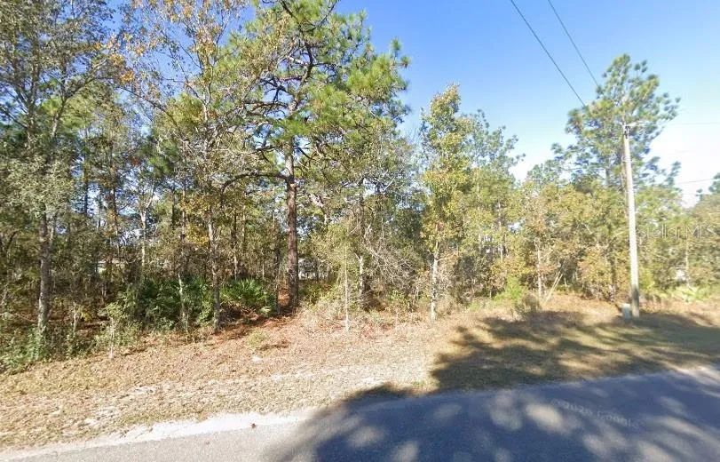 9037-1222-05 Ocklawaha, FL 32179