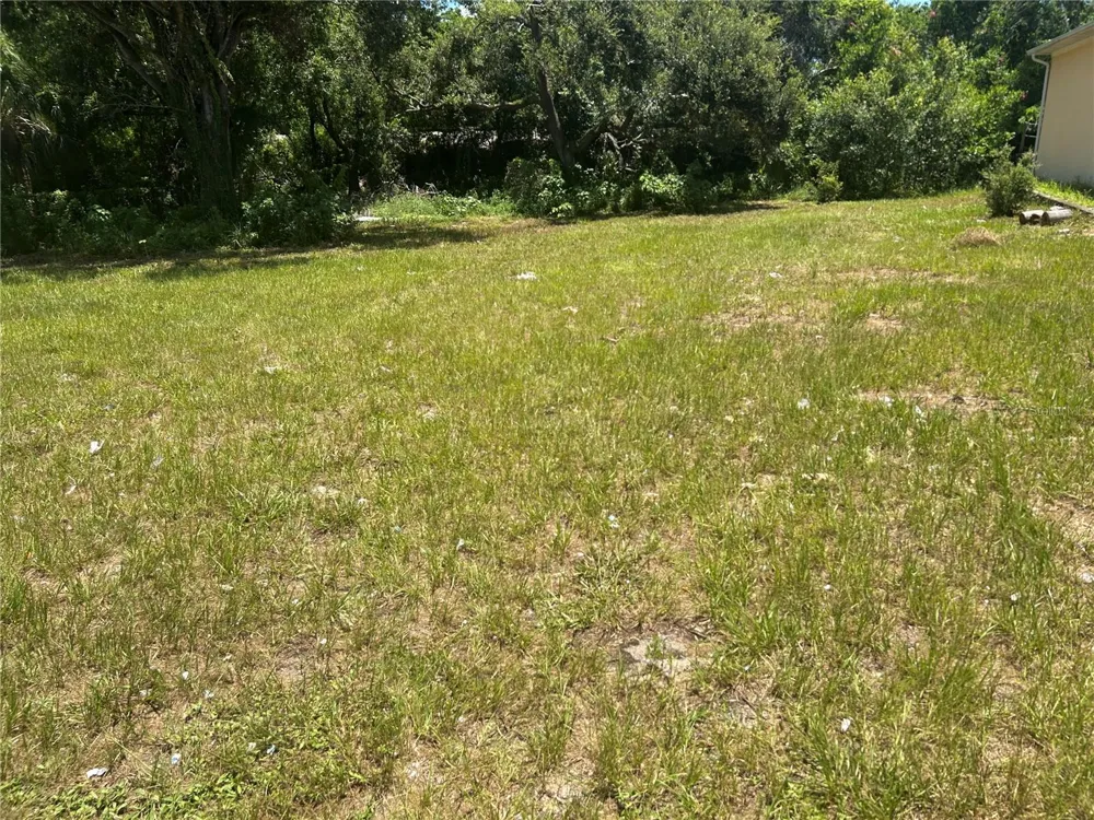 1904-1906 W BUSCH BOULEVARD Tampa, FL 33612