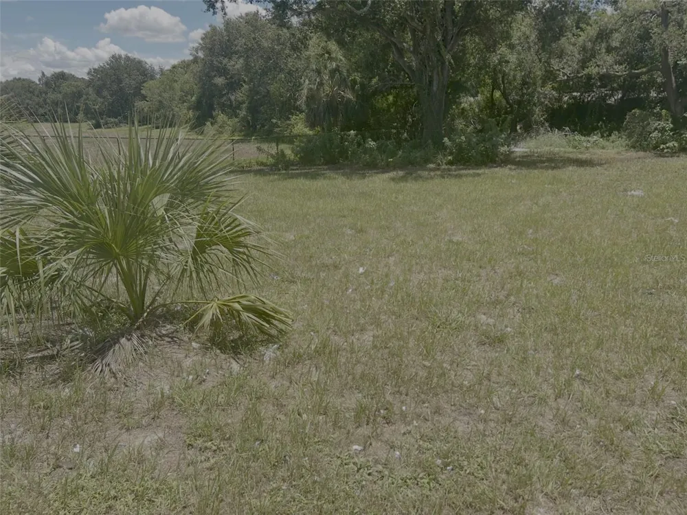 1904-1906 W BUSCH BOULEVARD Tampa, FL 33612