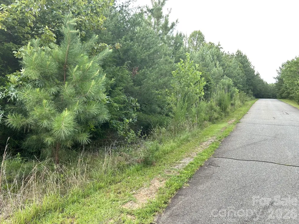 00 Cross Creek Drive #277 Rutherfordton, NC 28139