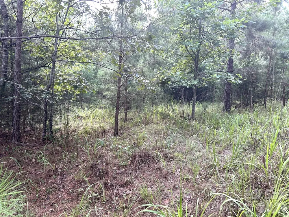 00 Cross Creek Drive #277 Rutherfordton, NC 28139