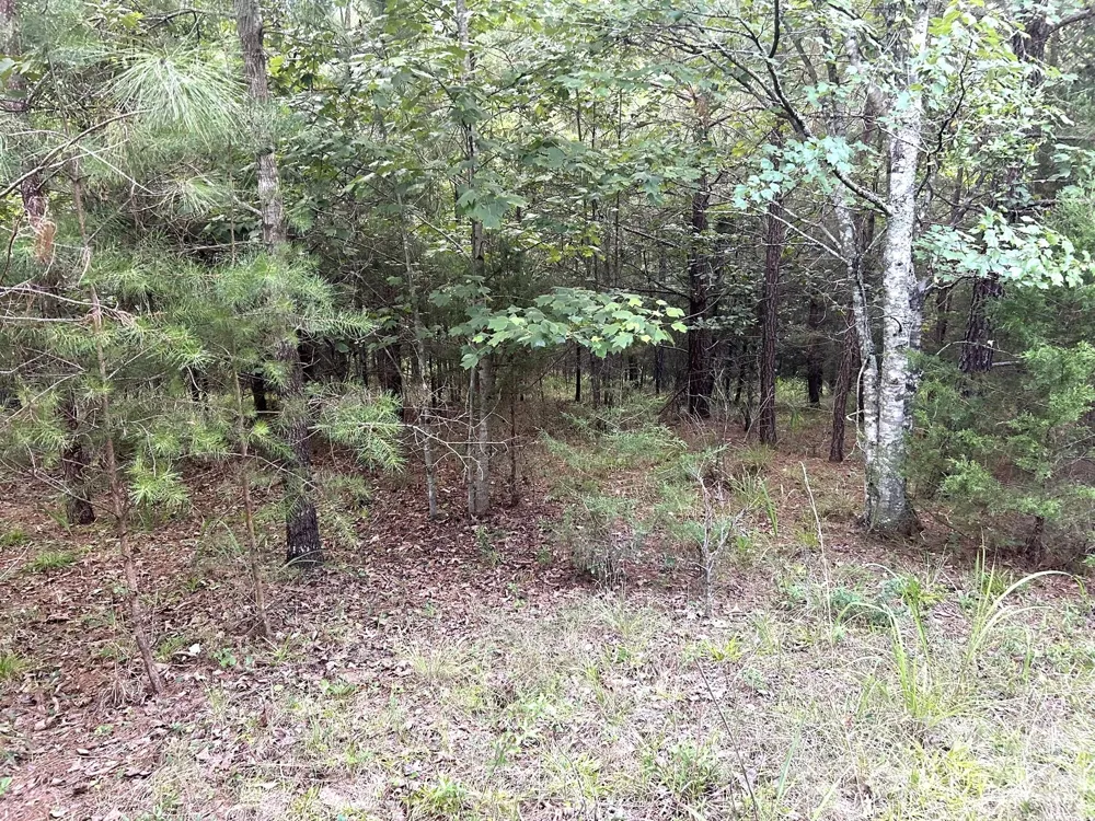 00 Cross Creek Drive #277 Rutherfordton, NC 28139