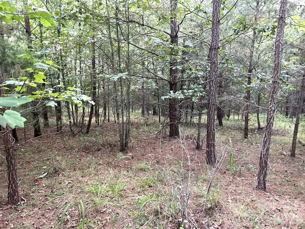 00 Cross Creek Drive #277 Rutherfordton, NC 28139