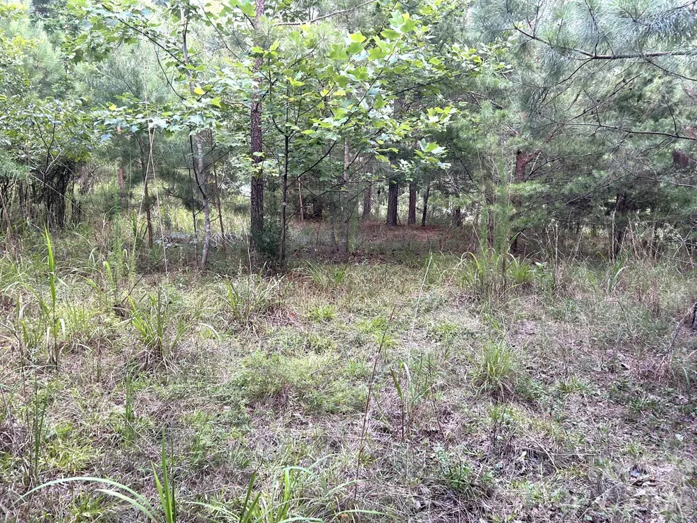 00 Cross Creek Drive #277 Rutherfordton, NC 28139