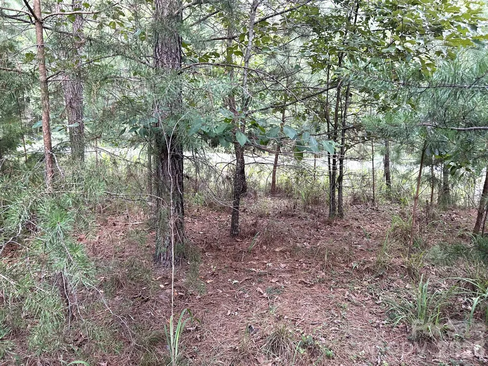 00 Cross Creek Drive #277 Rutherfordton, NC 28139