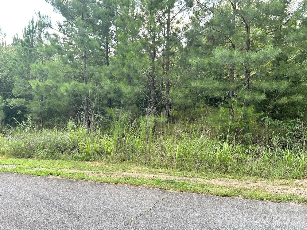 00 Cross Creek Drive #277 Rutherfordton, NC 28139