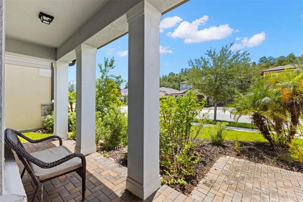 18935 BIRCHWOOD GROVES DRIVE Lutz, FL 33558