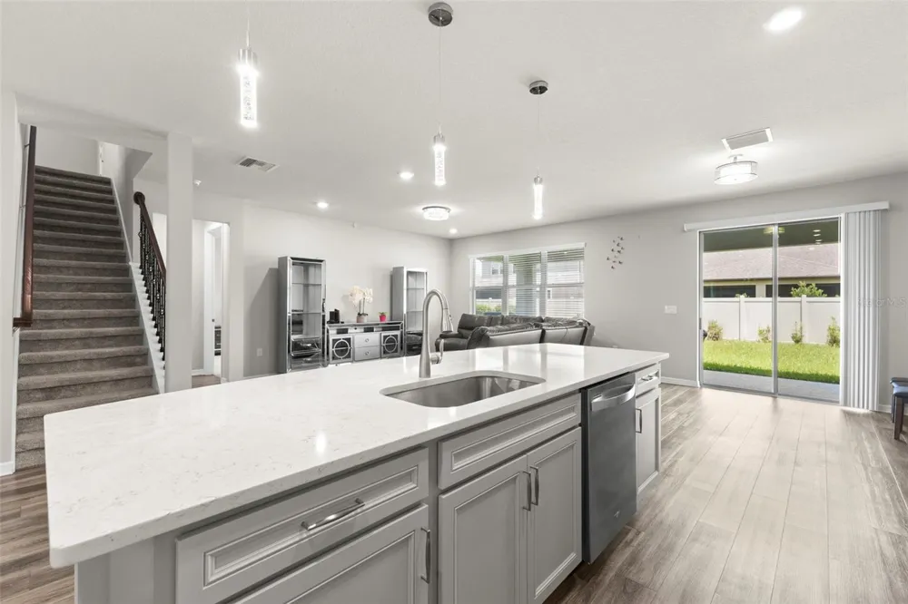 18935 BIRCHWOOD GROVES DRIVE Lutz, FL 33558