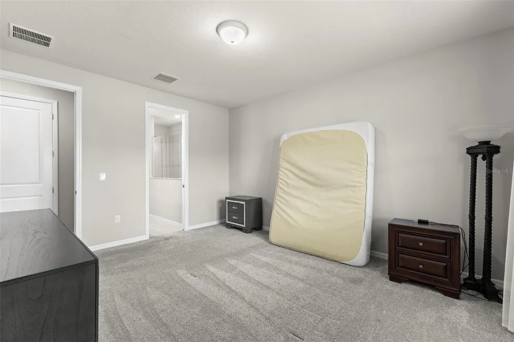 18935 BIRCHWOOD GROVES DRIVE Lutz, FL 33558