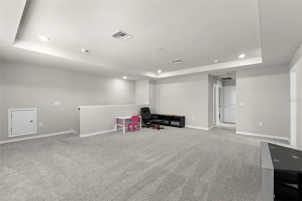 18935 BIRCHWOOD GROVES DRIVE Lutz, FL 33558