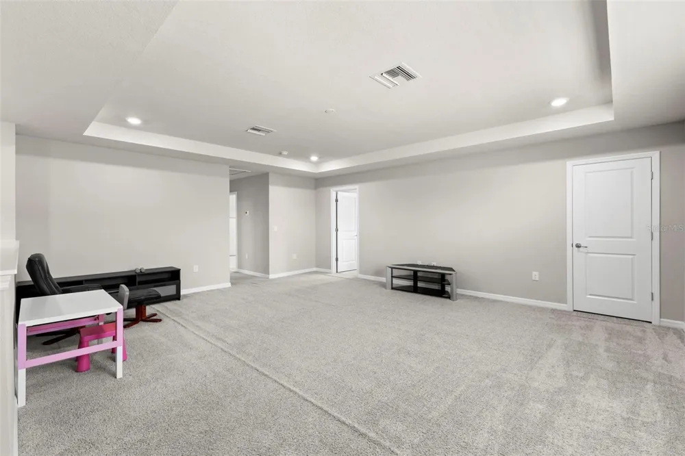 18935 BIRCHWOOD GROVES DRIVE Lutz, FL 33558