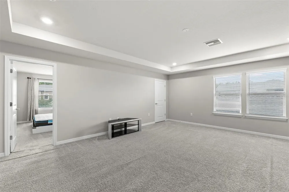 18935 BIRCHWOOD GROVES DRIVE Lutz, FL 33558