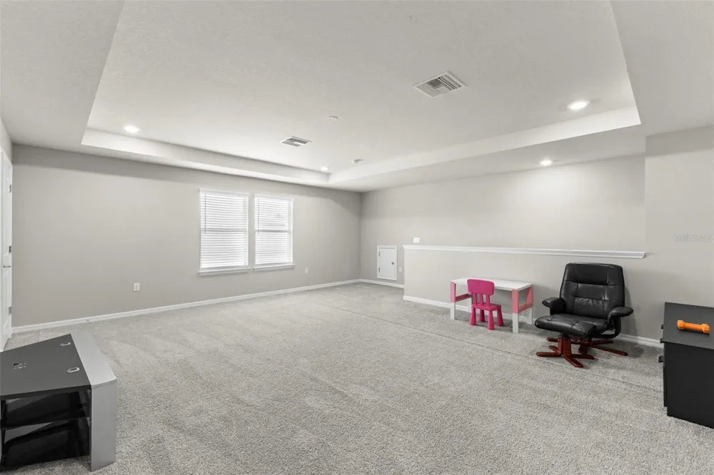 18935 BIRCHWOOD GROVES DRIVE Lutz, FL 33558