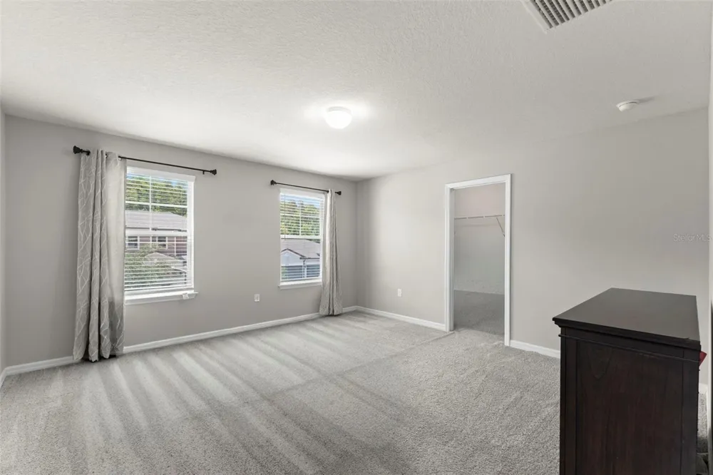 18935 BIRCHWOOD GROVES DRIVE Lutz, FL 33558