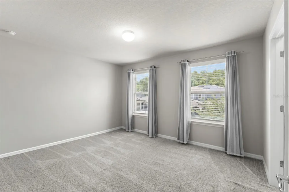 18935 BIRCHWOOD GROVES DRIVE Lutz, FL 33558