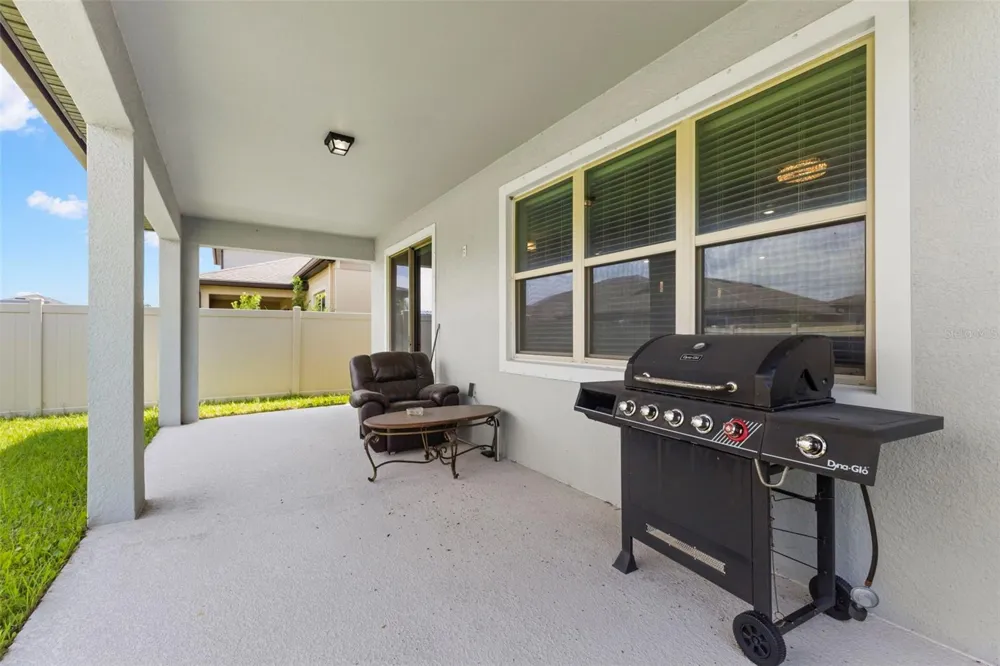 18935 BIRCHWOOD GROVES DRIVE Lutz, FL 33558