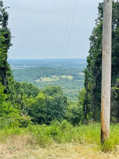 CR 246
