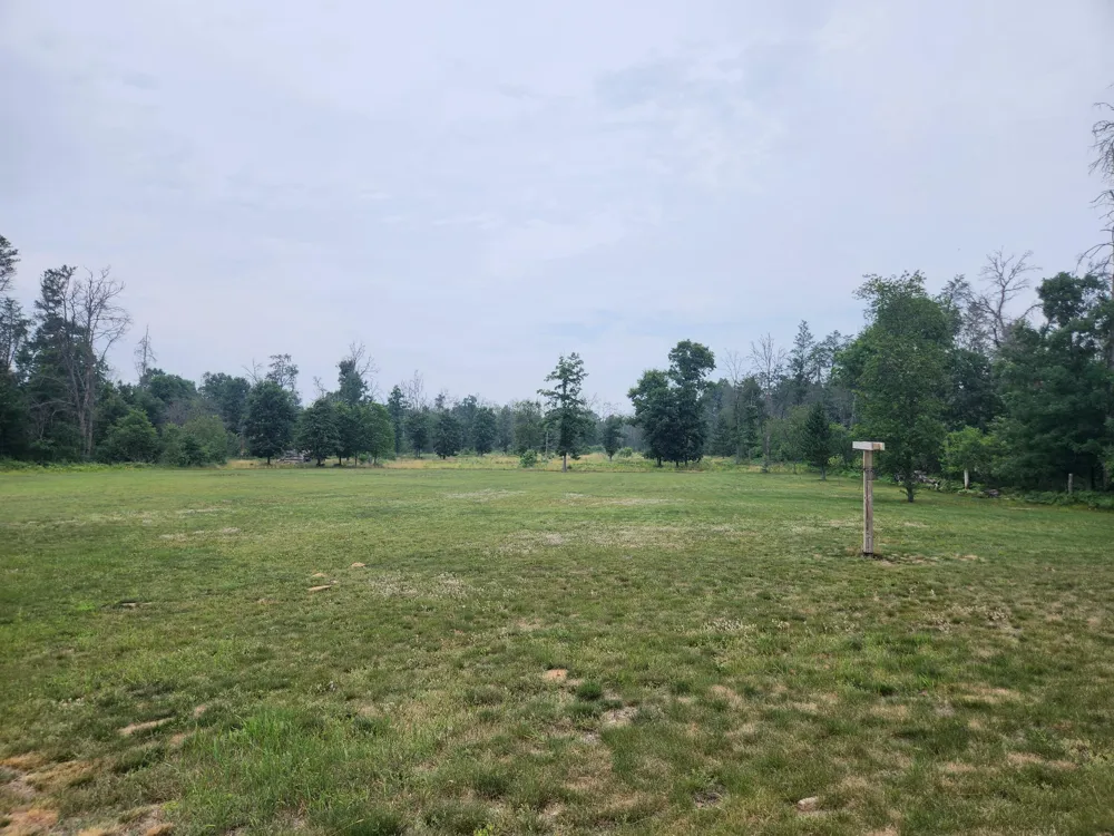 2368 E 10 Mile Road Irons, MI 49644