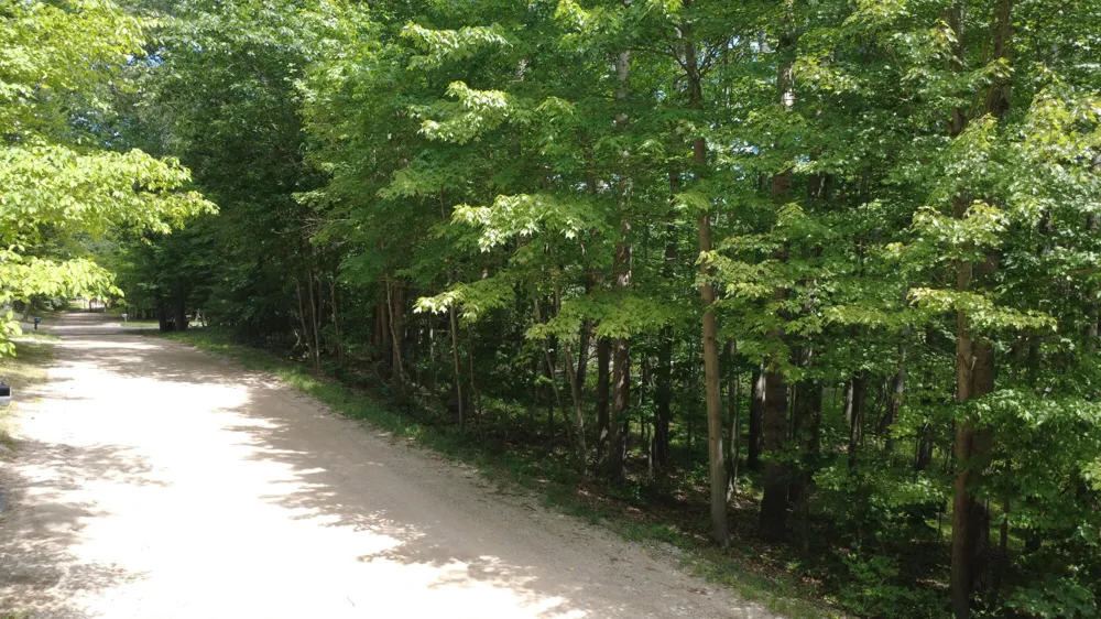 11113 Rambling Way Canadian Lakes, MI 49346