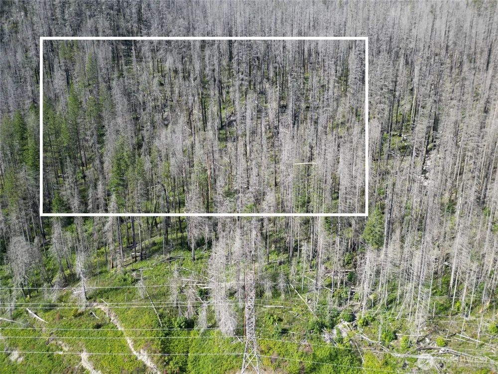 0 xx Skykomish Woods Skykomish, WA 98288