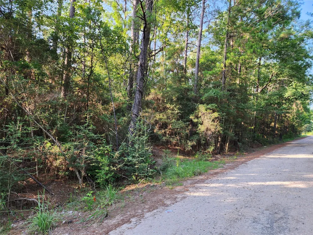 135 Arborcrest Drive Brookeland, TX 75931