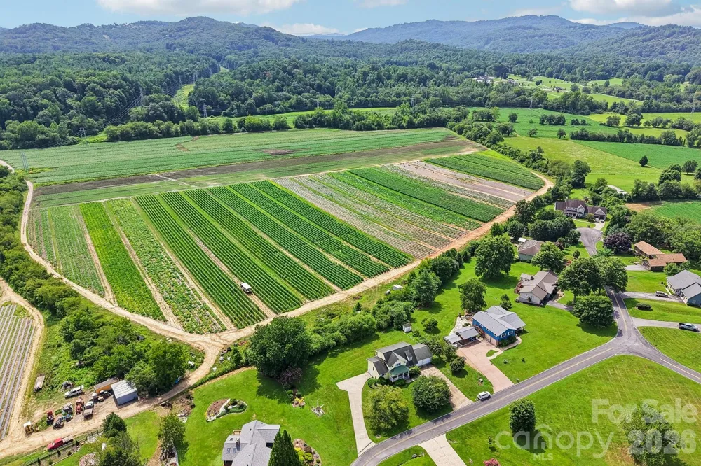 20 Amber Drive Horse Shoe, NC 28742