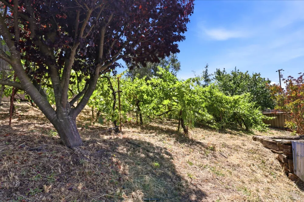 9160 Water Road Cotati, CA 94931