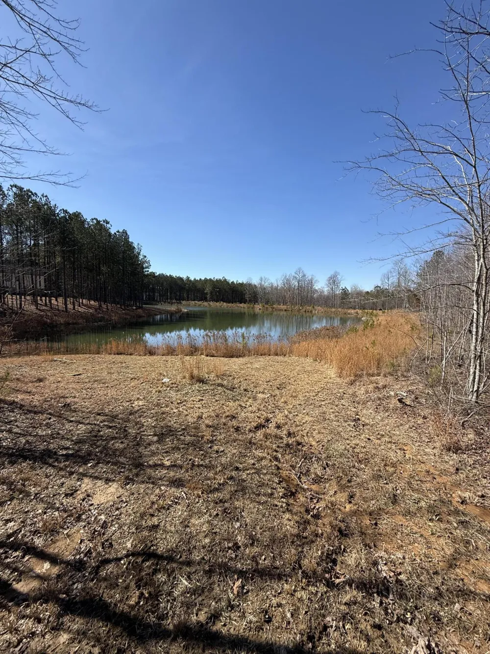 Cherokee Path Jasper, TN 37347