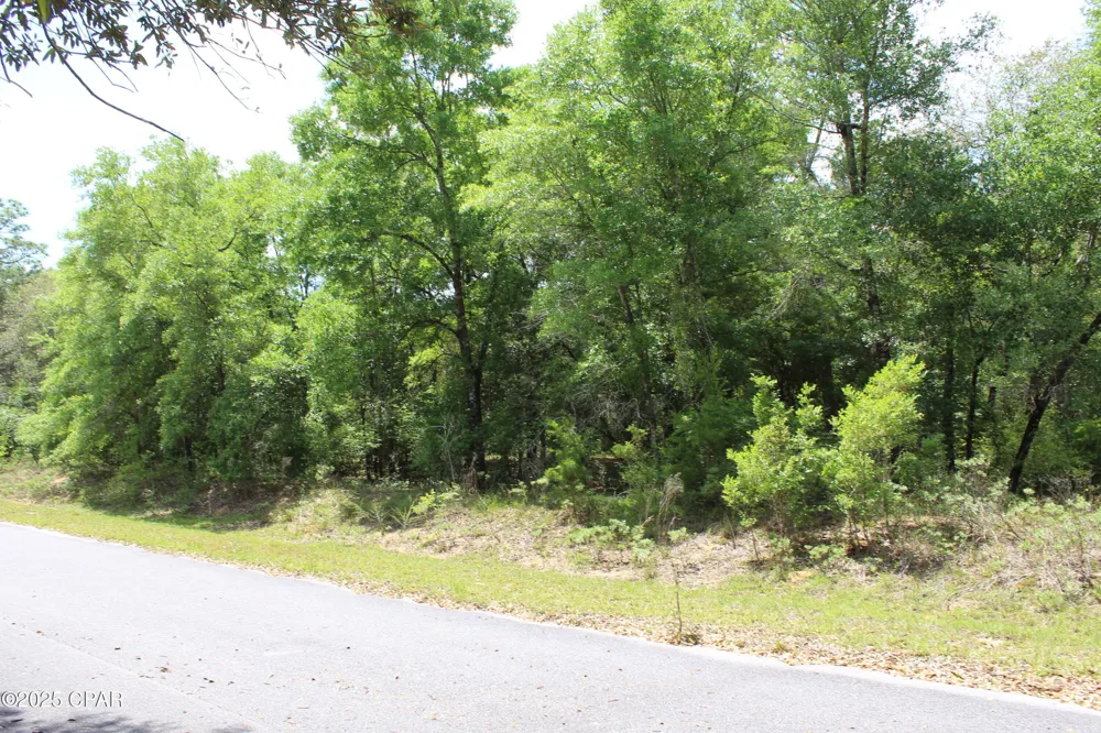 17 Arnone Lane Chipley, FL 32428