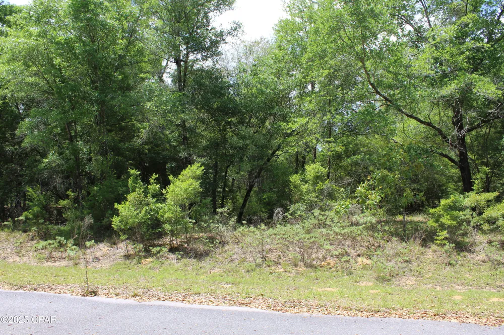 17 Arnone Lane Chipley, FL 32428