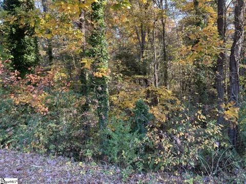 Brookforest Drive #Lot 9