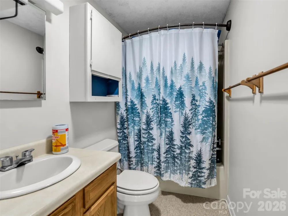 1870 Palmer Road Mill Spring, NC 28756