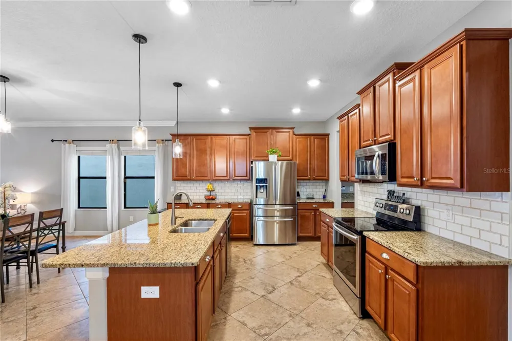 19343 PADDOCK VIEW DRIVE Tampa, FL 33647