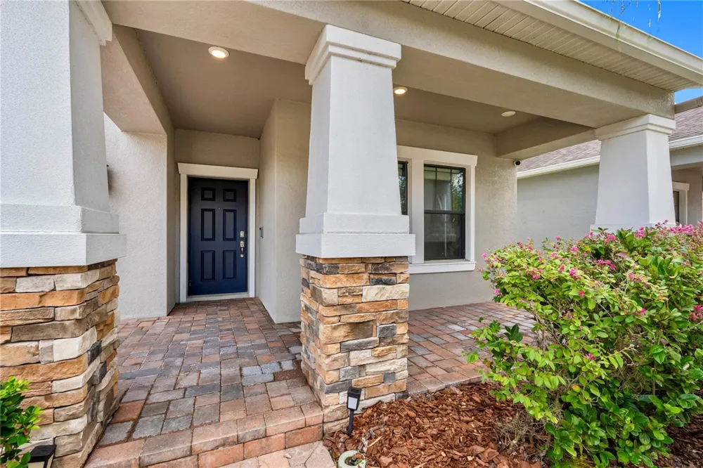 19343 PADDOCK VIEW DRIVE Tampa, FL 33647