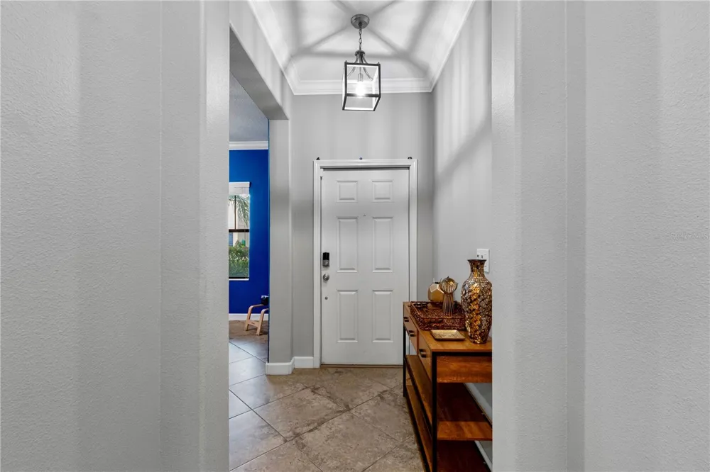 19343 PADDOCK VIEW DRIVE Tampa, FL 33647