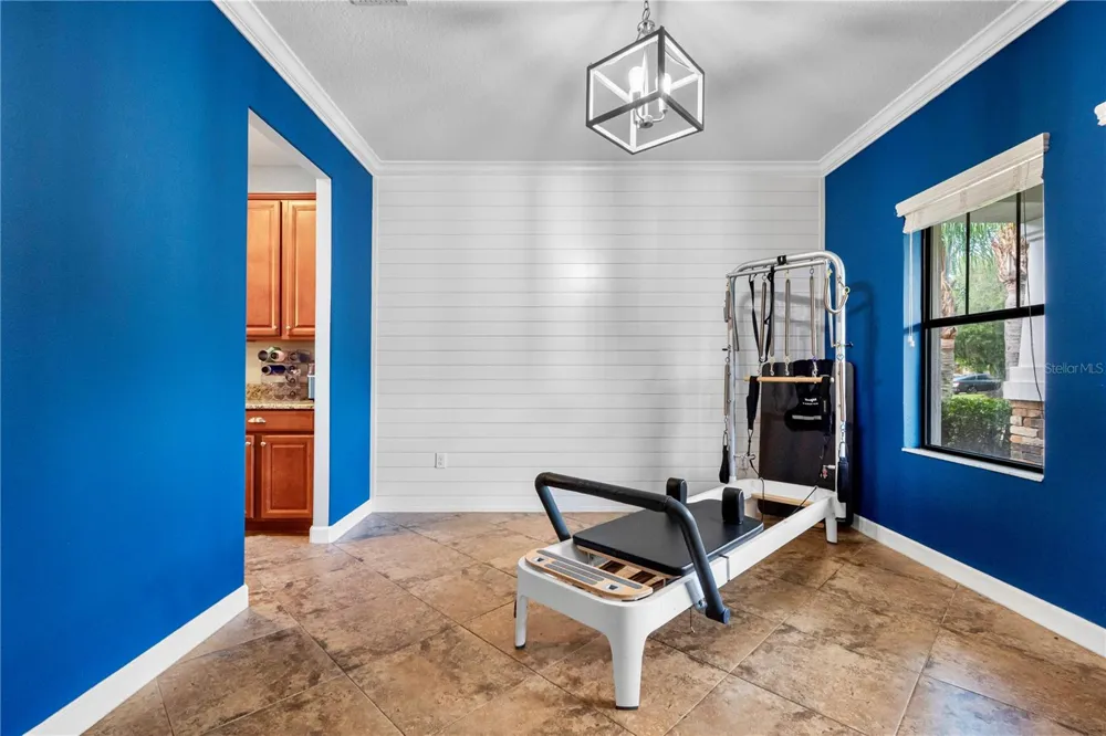 19343 PADDOCK VIEW DRIVE Tampa, FL 33647