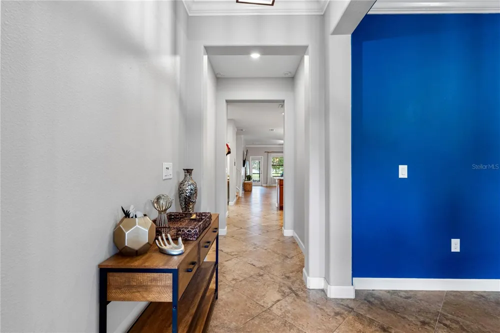 19343 PADDOCK VIEW DRIVE Tampa, FL 33647