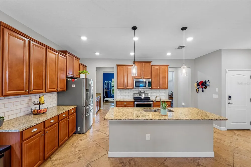 19343 PADDOCK VIEW DRIVE Tampa, FL 33647