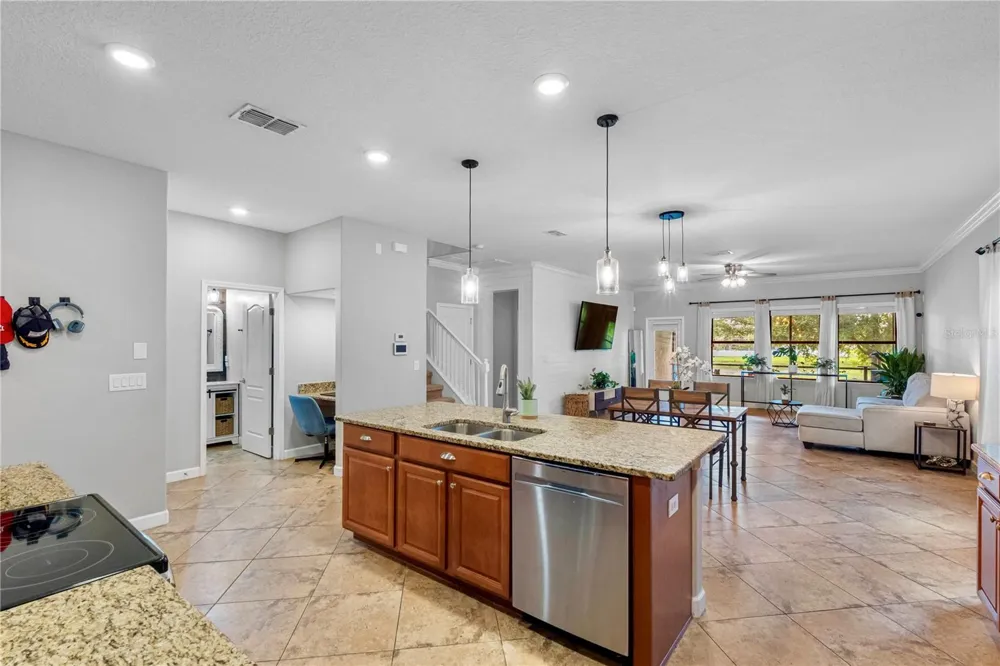 19343 PADDOCK VIEW DRIVE Tampa, FL 33647