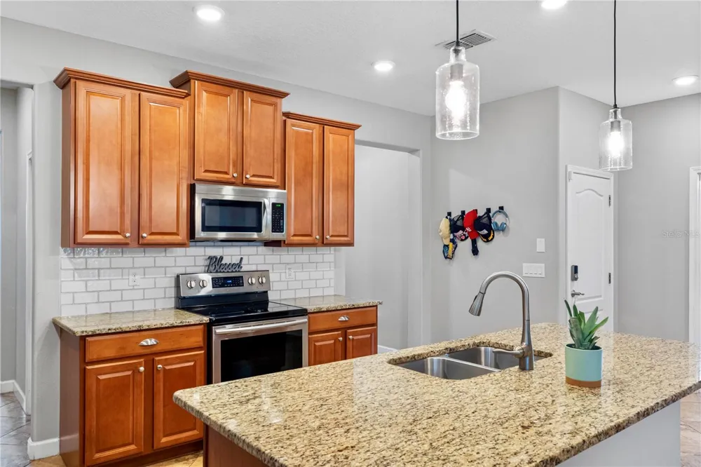 19343 PADDOCK VIEW DRIVE Tampa, FL 33647