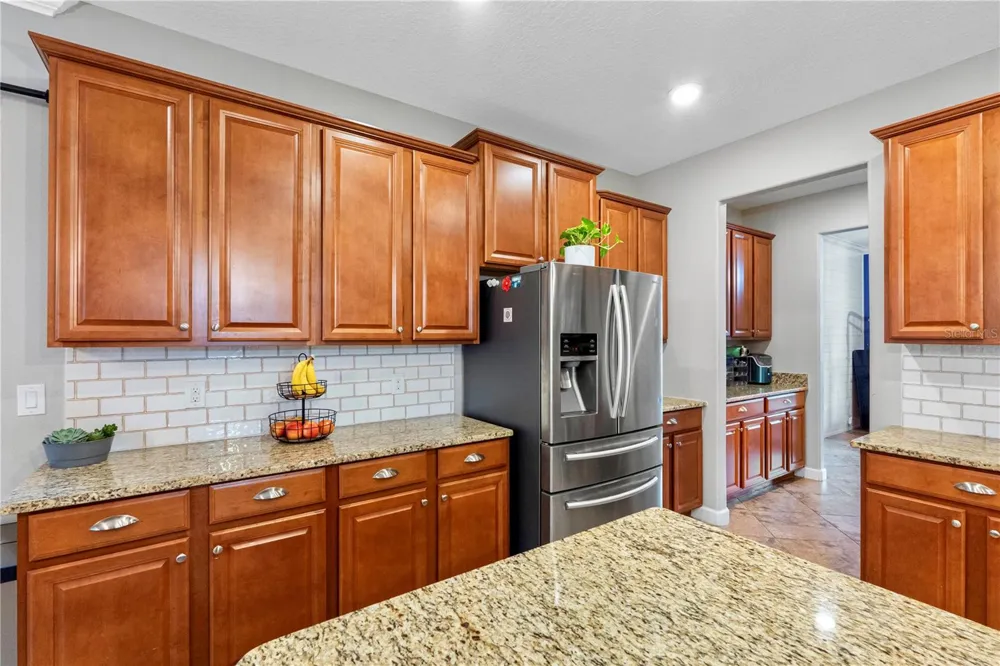 19343 PADDOCK VIEW DRIVE Tampa, FL 33647