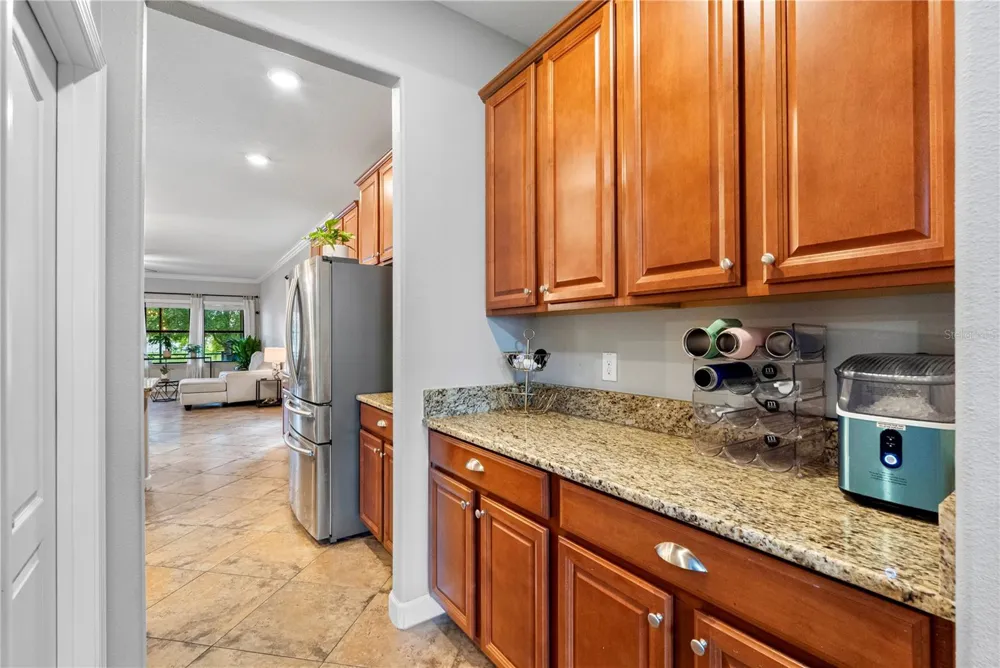 19343 PADDOCK VIEW DRIVE Tampa, FL 33647