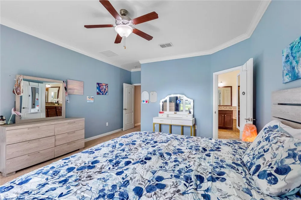 19343 PADDOCK VIEW DRIVE Tampa, FL 33647