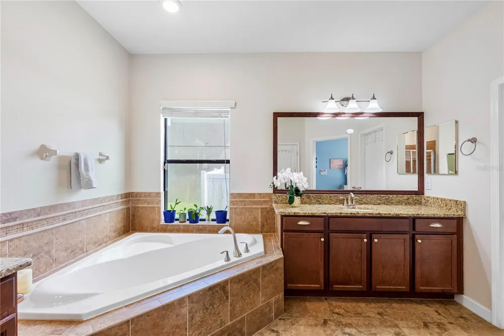 19343 PADDOCK VIEW DRIVE Tampa, FL 33647