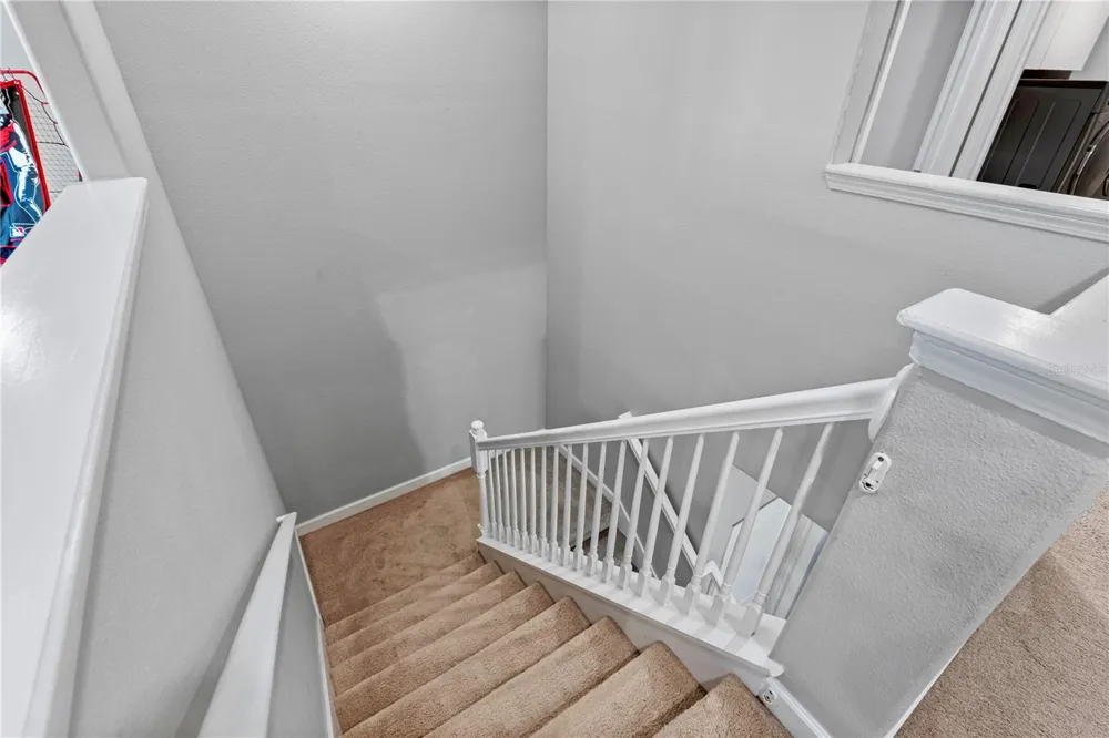 19343 PADDOCK VIEW DRIVE Tampa, FL 33647