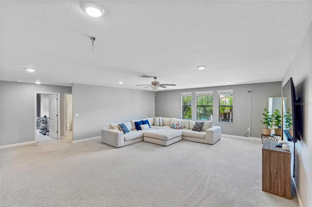 19343 PADDOCK VIEW DRIVE Tampa, FL 33647