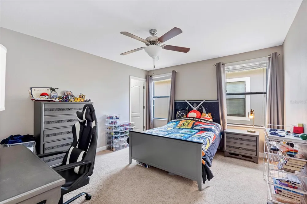 19343 PADDOCK VIEW DRIVE Tampa, FL 33647