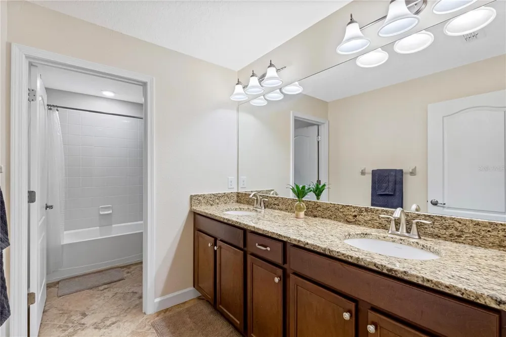 19343 PADDOCK VIEW DRIVE Tampa, FL 33647