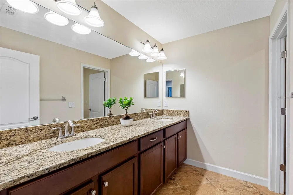 19343 PADDOCK VIEW DRIVE Tampa, FL 33647