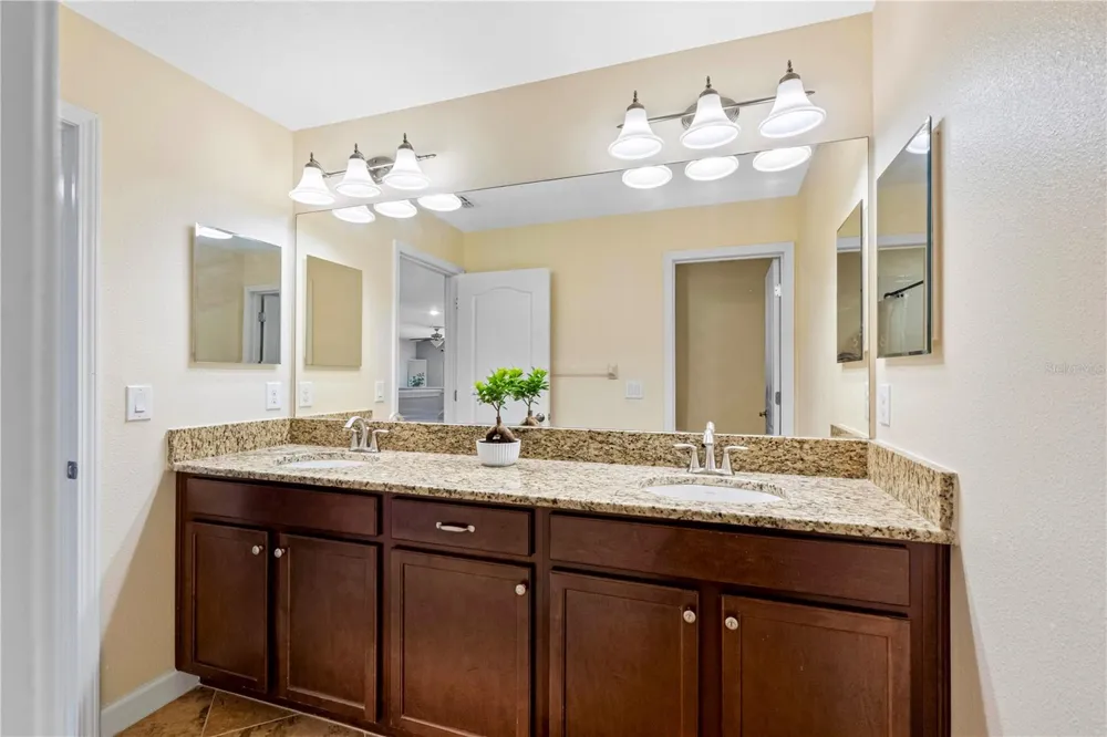 19343 PADDOCK VIEW DRIVE Tampa, FL 33647